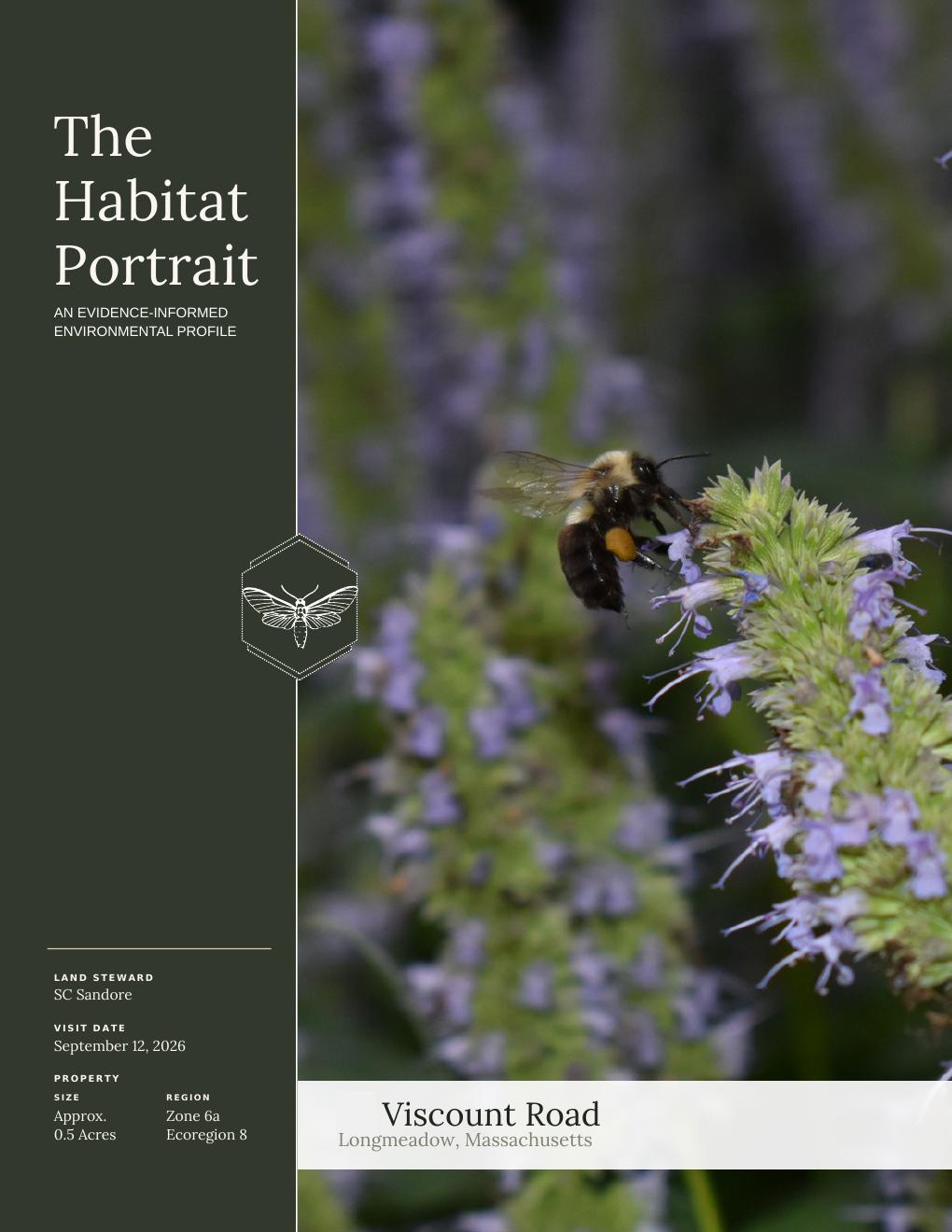 Cover of The Habitat Portrait for a property on Viscount Road